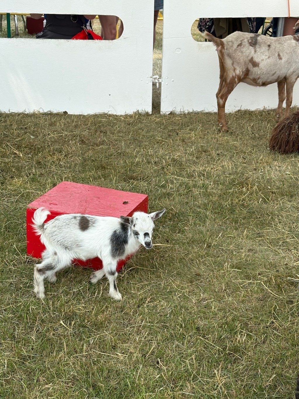 2025 – Week&nbsp;31